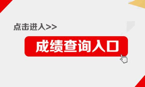 2019年注册会计师成绩在哪查？