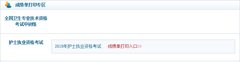 护士资格考试成绩单打印