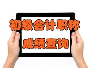 2020年初级会计职称考试成绩何时公布?