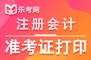 河南省2020年注册会计师准考证打印预计时间